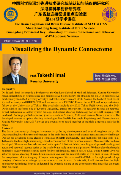 Visualizing the Dynamic Connectome